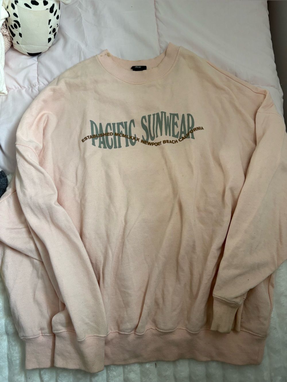 PacSun Pale Pink Pacific Sunwear Graphic Crewneck Sweatshirt